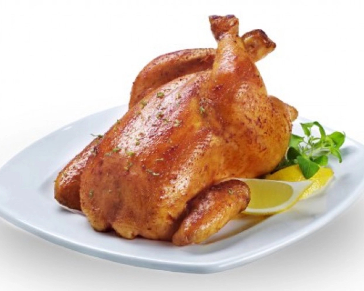 حبة دجاج سادة